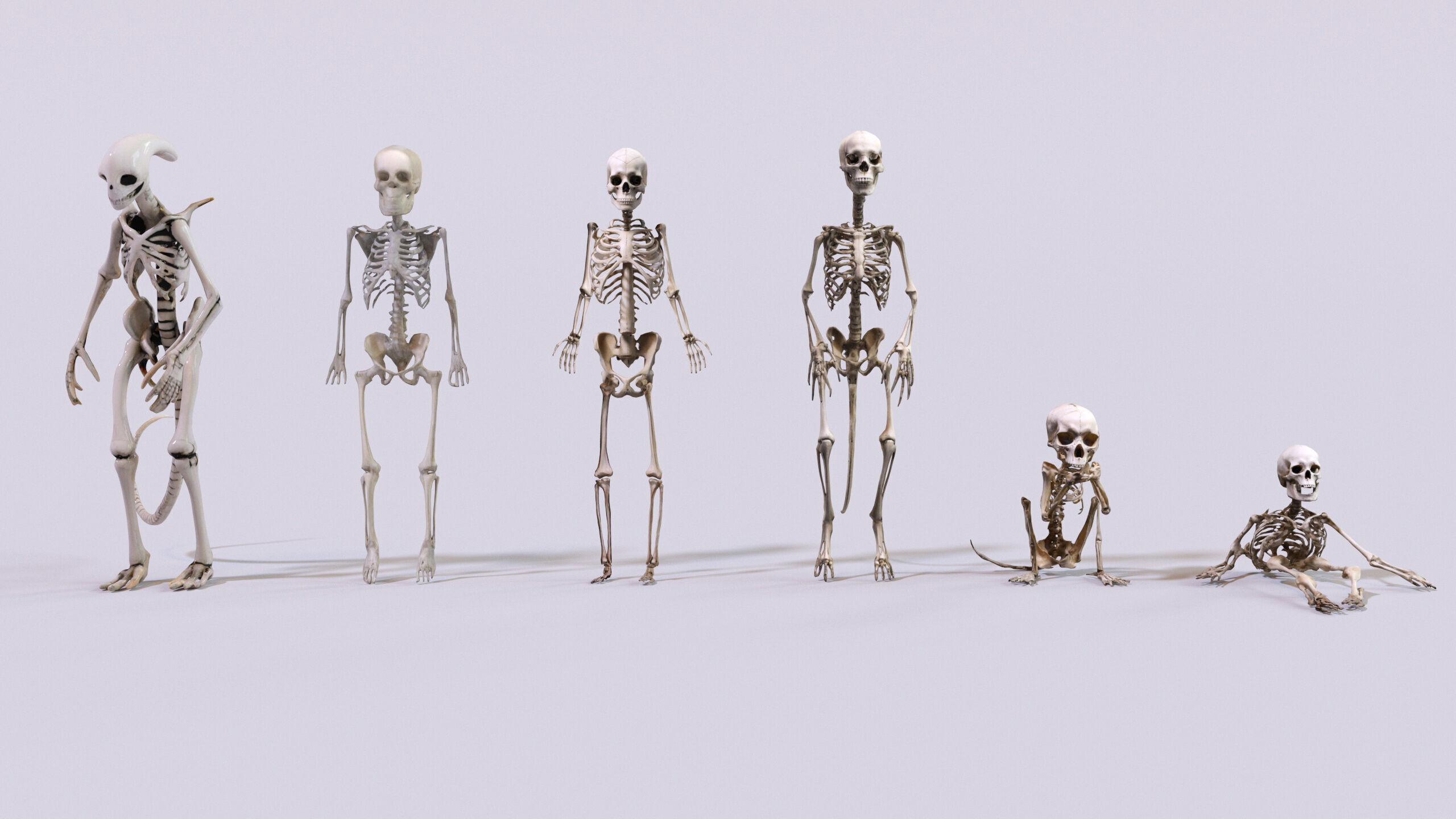 Ultimate Skeleton and Skull Pack - 62 game-ready lowpoly assets Low-poly 3D model_10