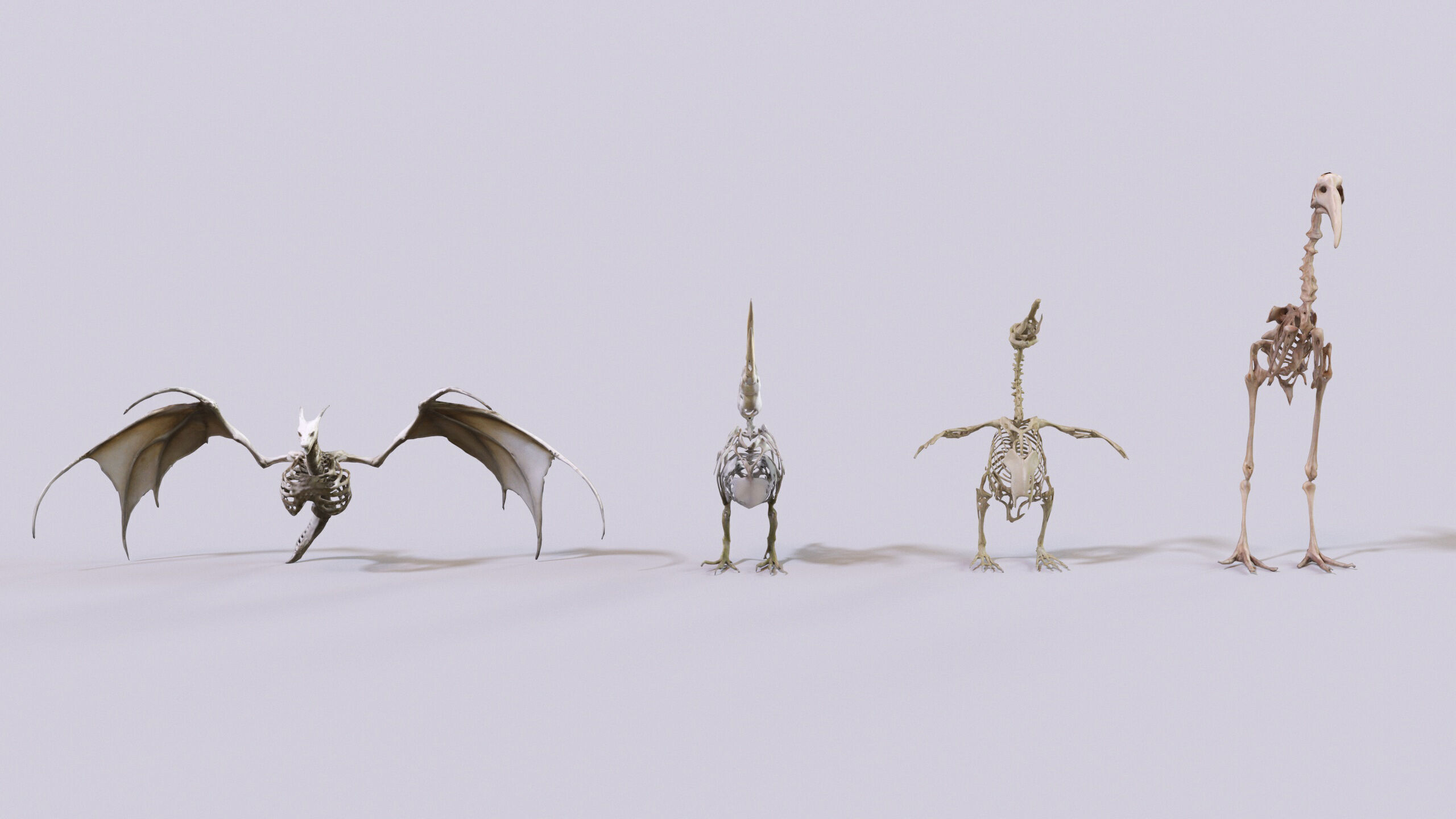 Ultimate Skeleton and Skull Pack - 62 game-ready lowpoly assets Low-poly 3D model_16