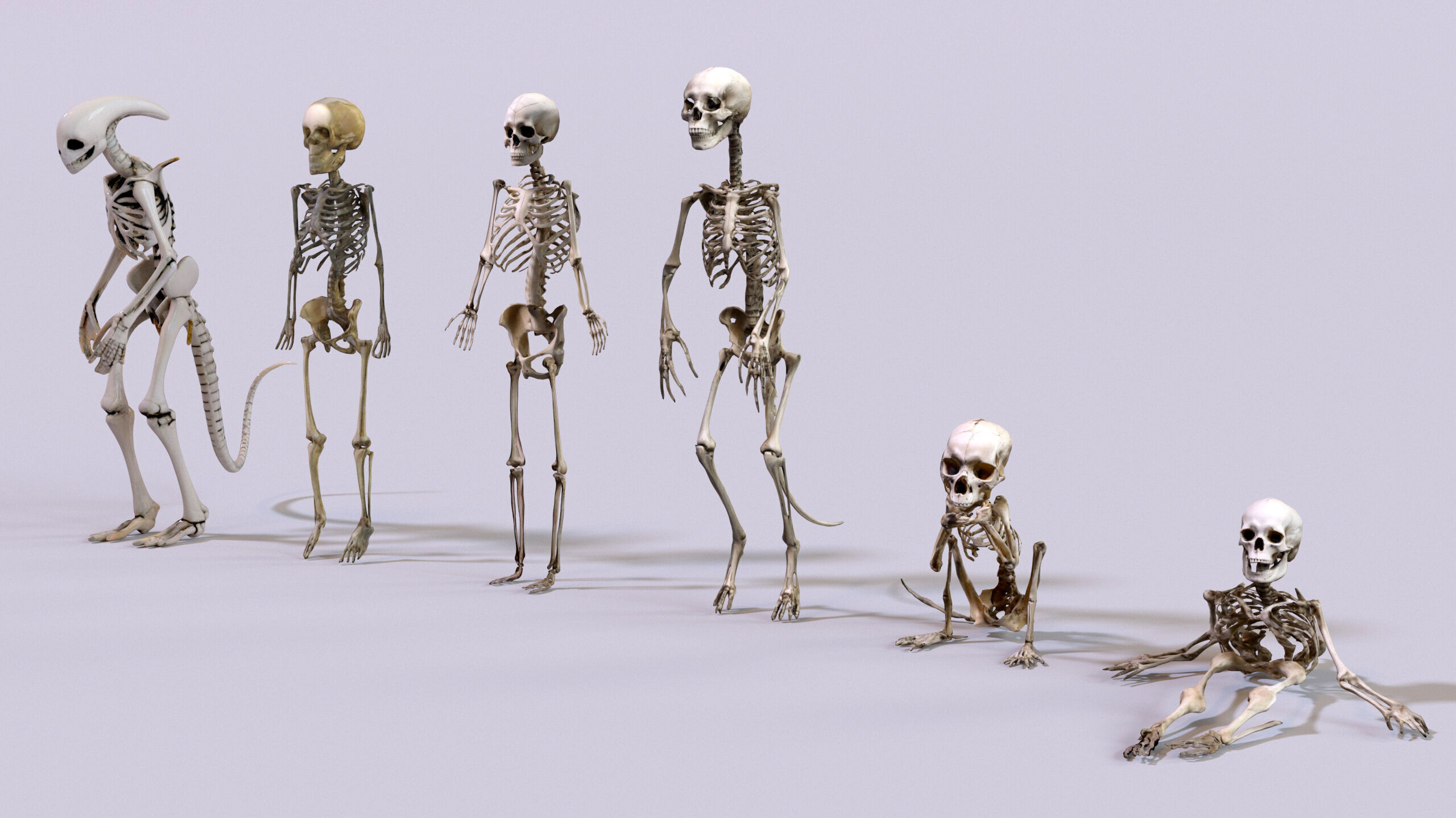 Ultimate Skeleton and Skull Pack - 62 game-ready lowpoly assets Low-poly 3D model_12