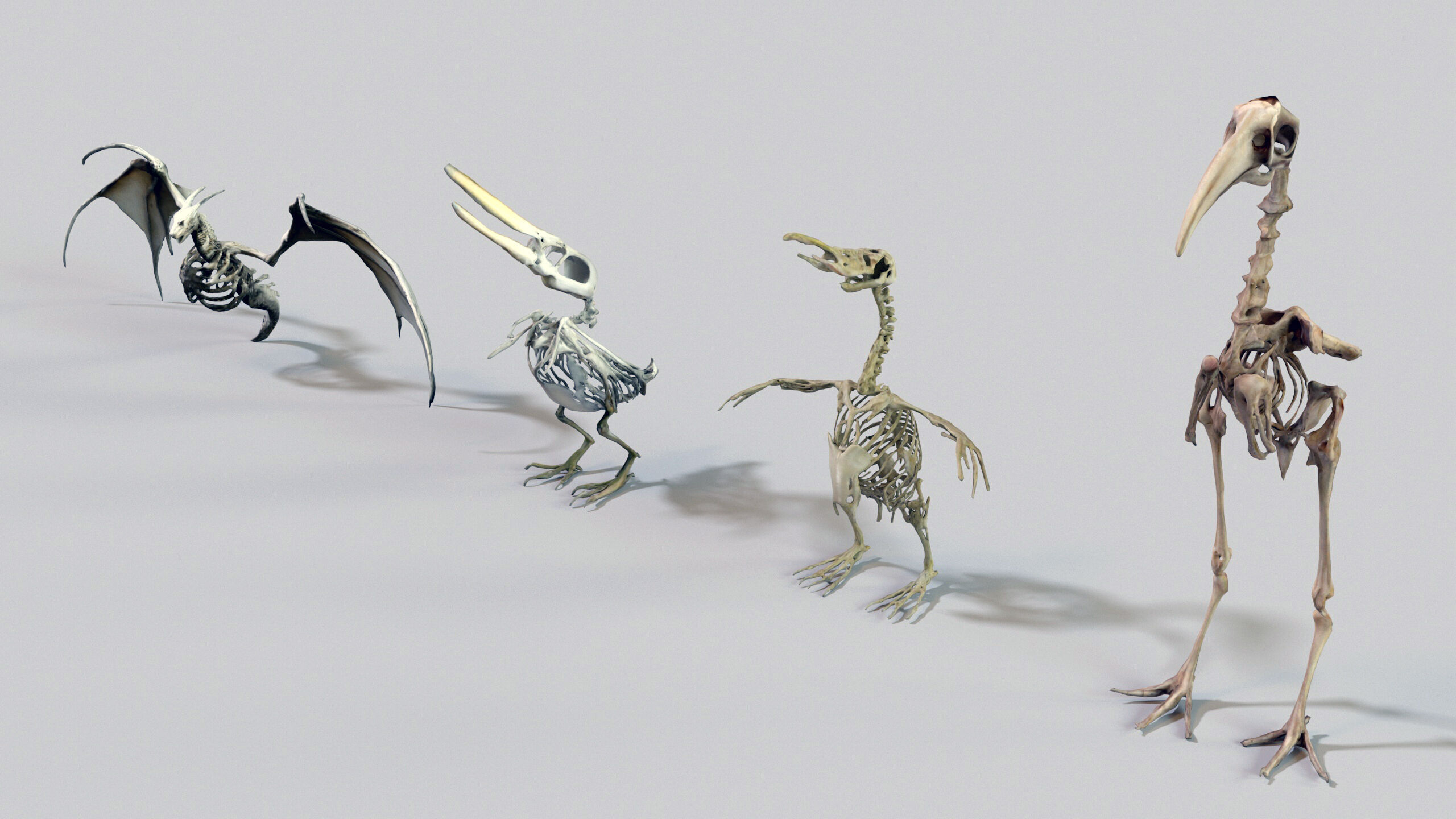 Ultimate Skeleton and Skull Pack - 62 game-ready lowpoly assets Low-poly 3D model_18