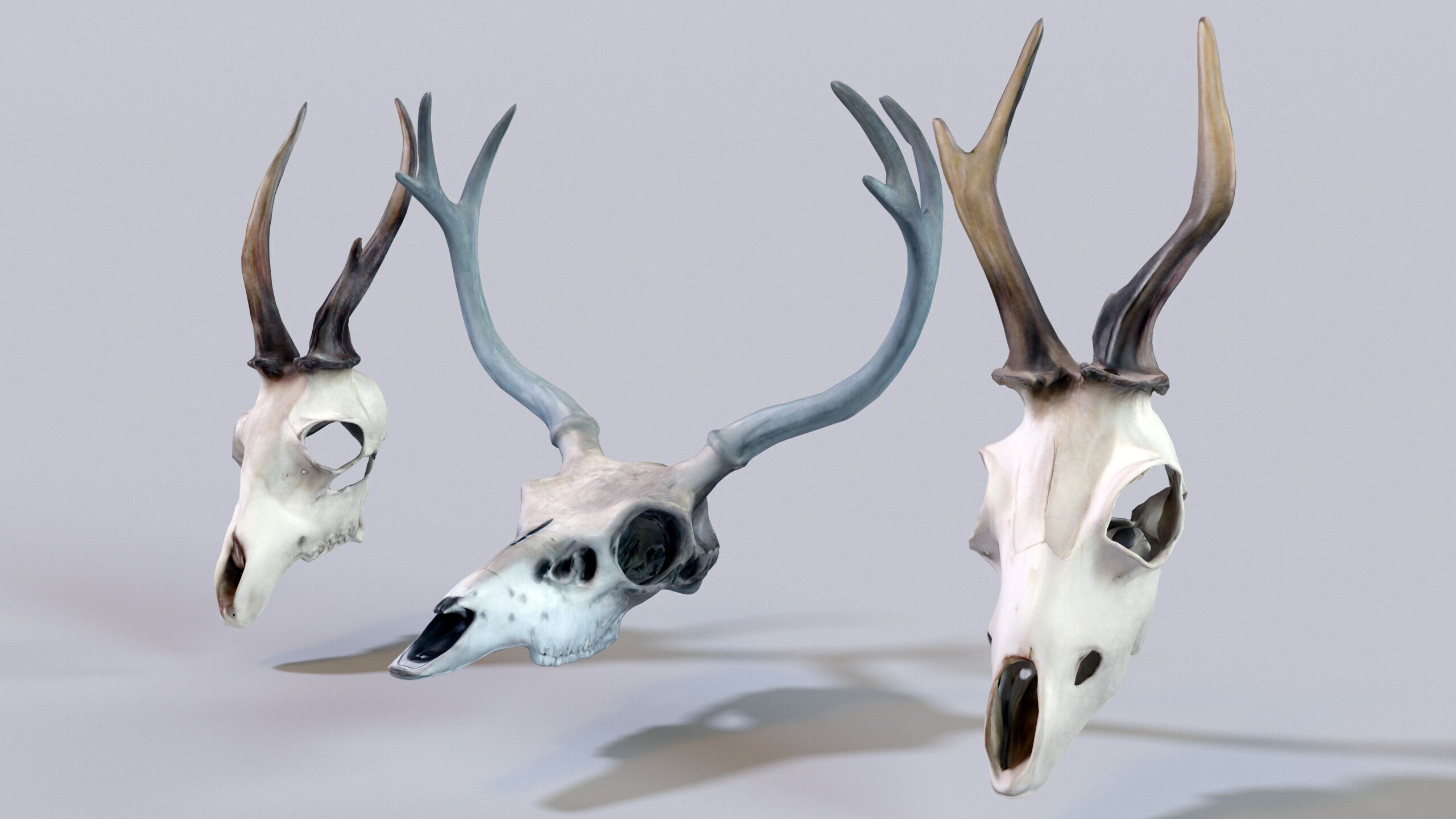 Ultimate Skeleton and Skull Pack - 62 game-ready lowpoly assets Low-poly 3D model_28