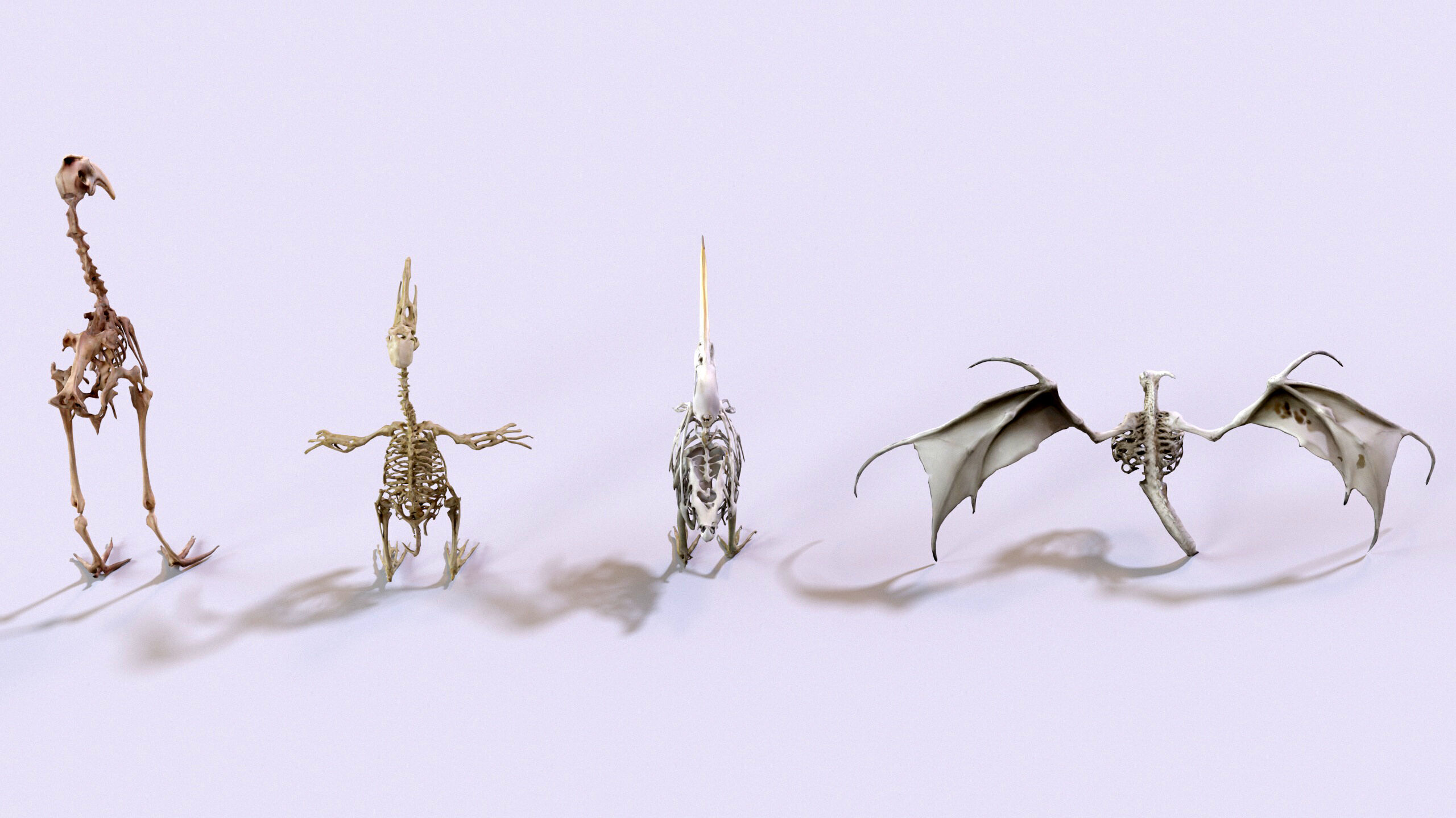 Ultimate Skeleton and Skull Pack - 62 game-ready lowpoly assets Low-poly 3D model_19