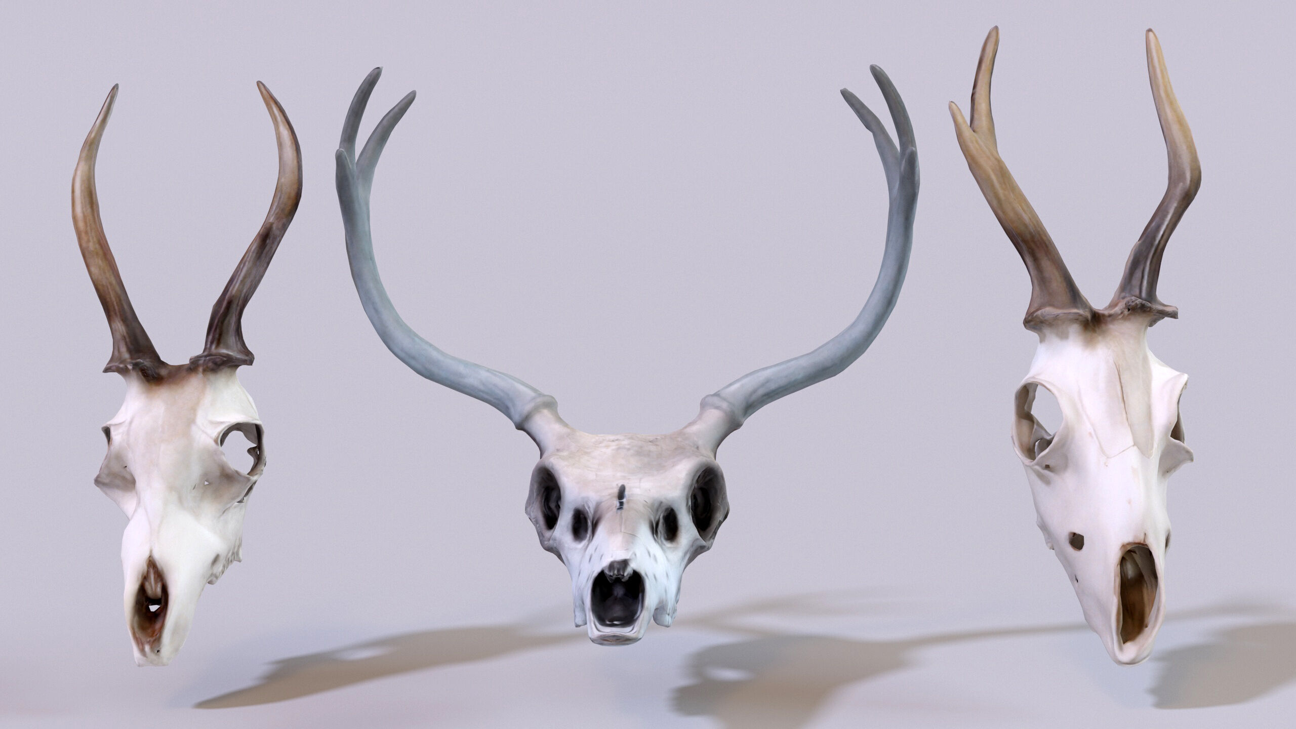 Ultimate Skeleton and Skull Pack - 62 game-ready lowpoly assets Low-poly 3D model_26