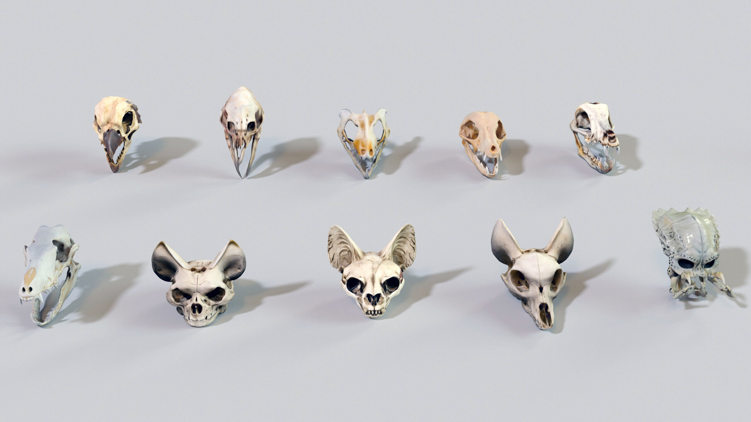 Ultimate Skeleton and Skull Pack - 62 game-ready lowpoly assets Low-poly 3D model_23