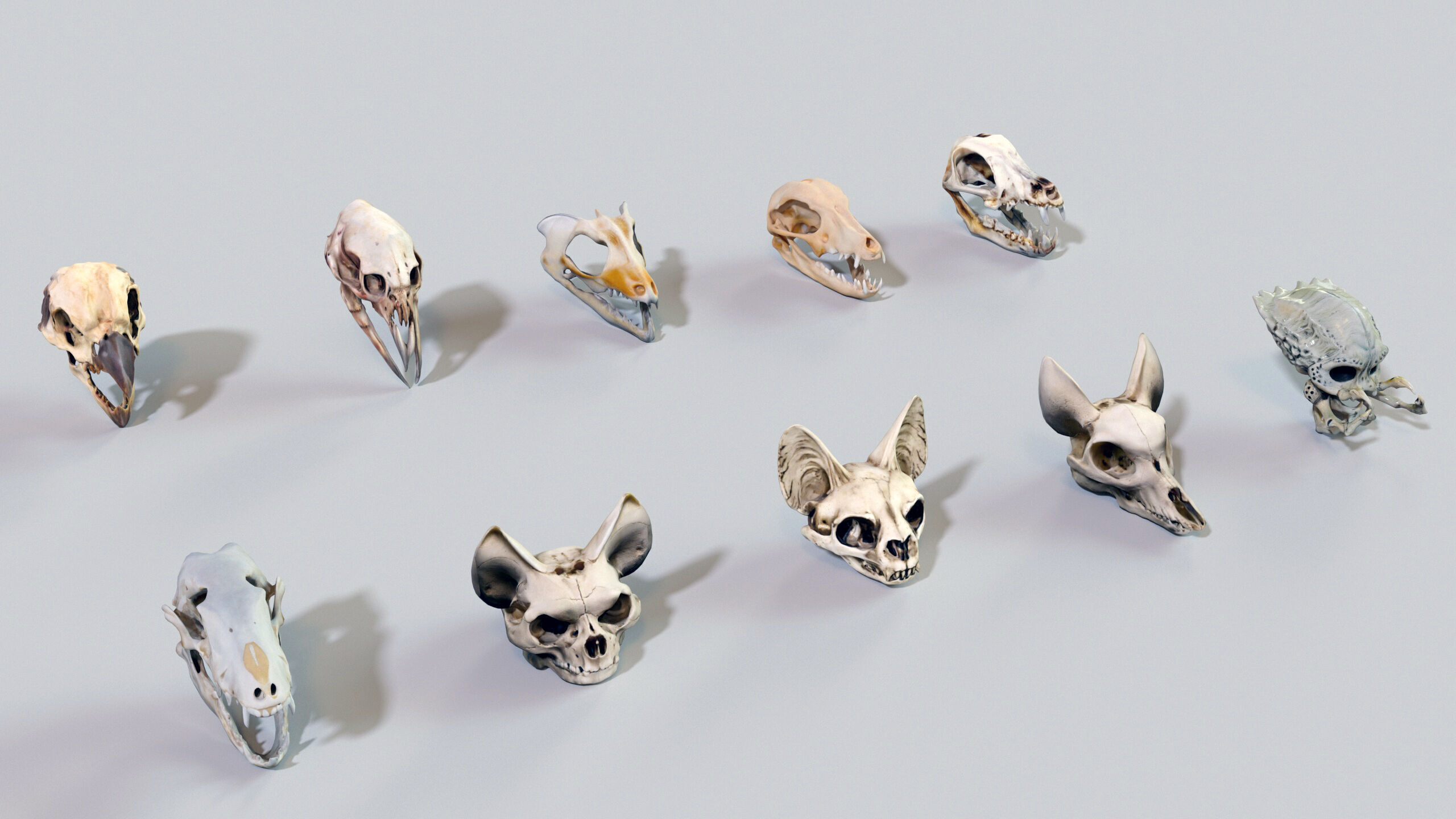 Ultimate Skeleton and Skull Pack - 62 game-ready lowpoly assets Low-poly 3D model_24