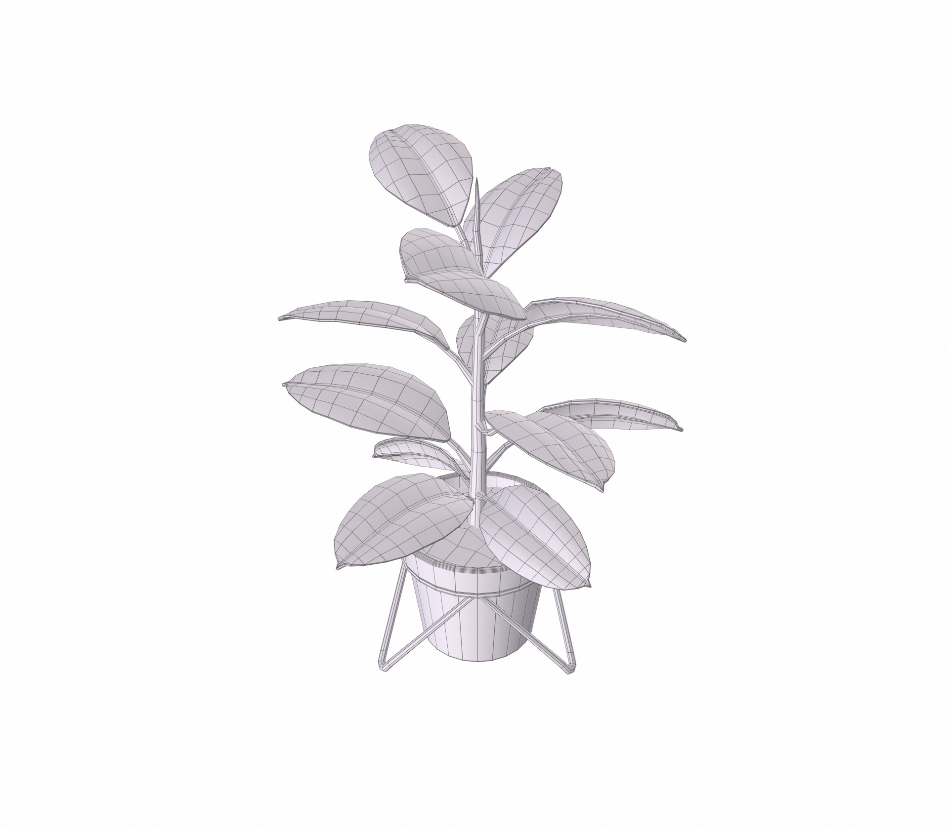 Potted ficus 3D model_15