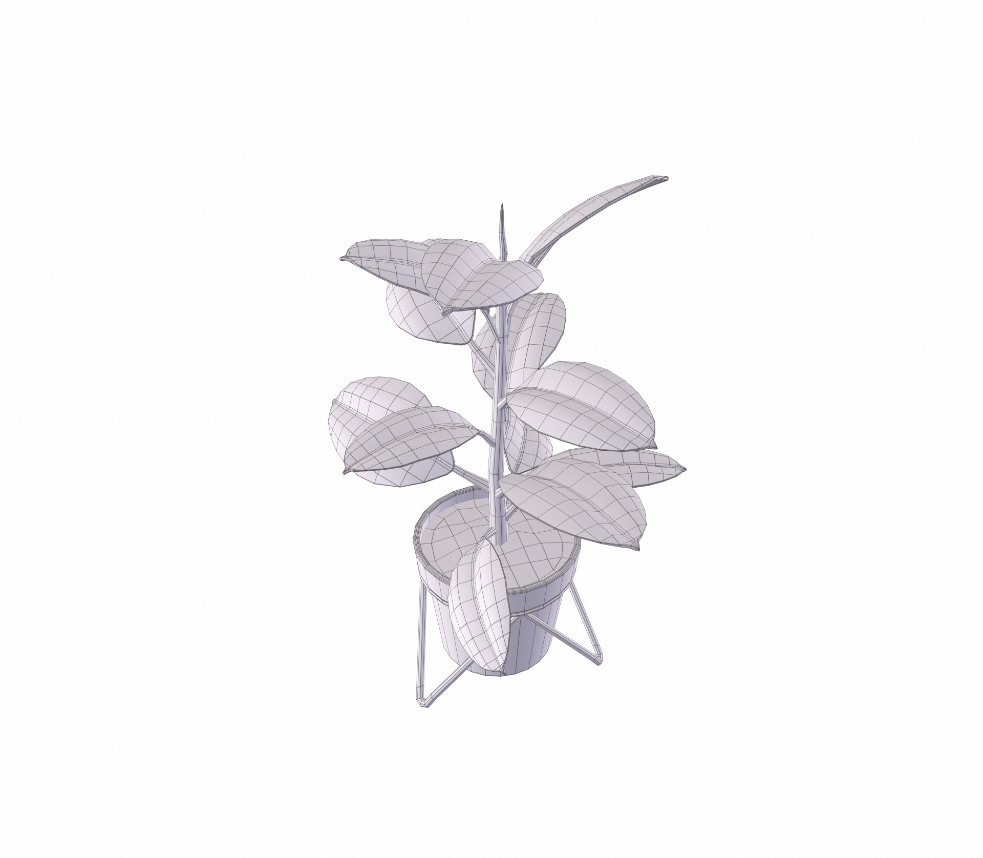 Potted ficus 3D model_14