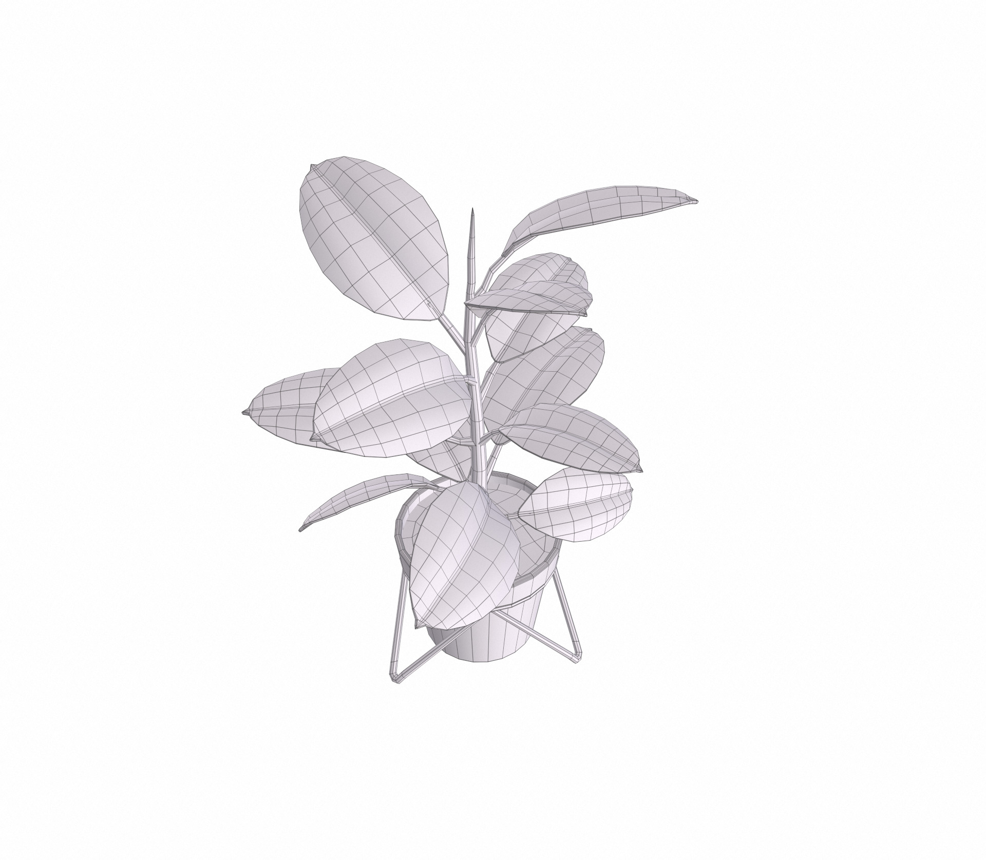 Potted ficus 3D model_12