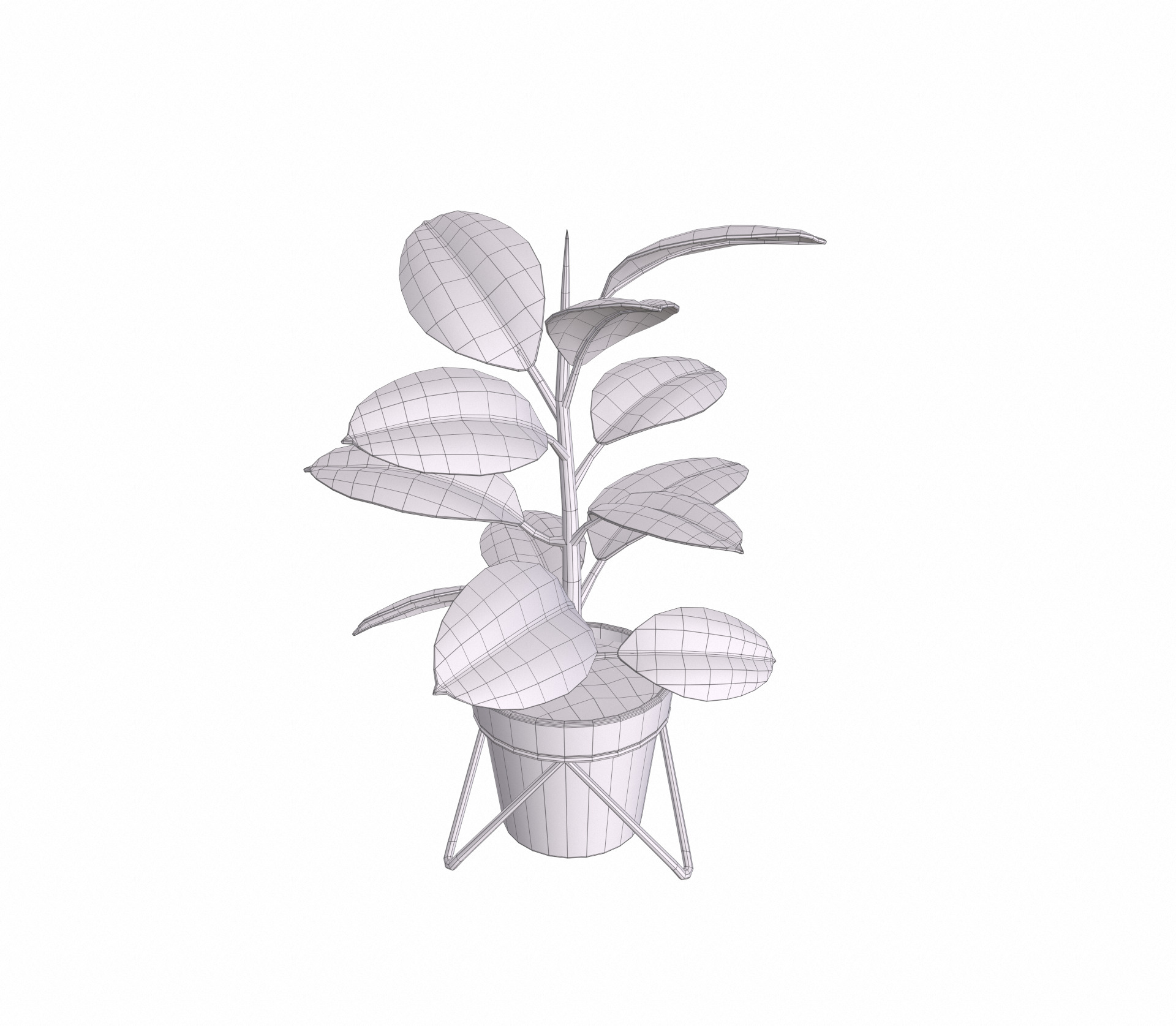 Potted ficus 3D model_13