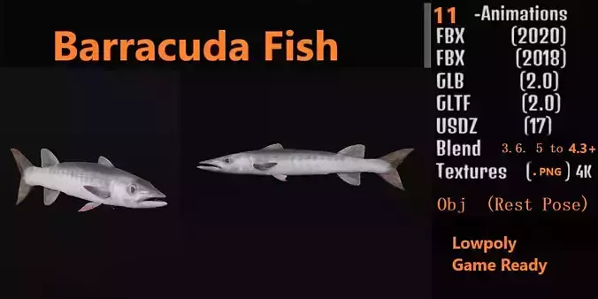 Barracuda Fish Low-poly 3D model