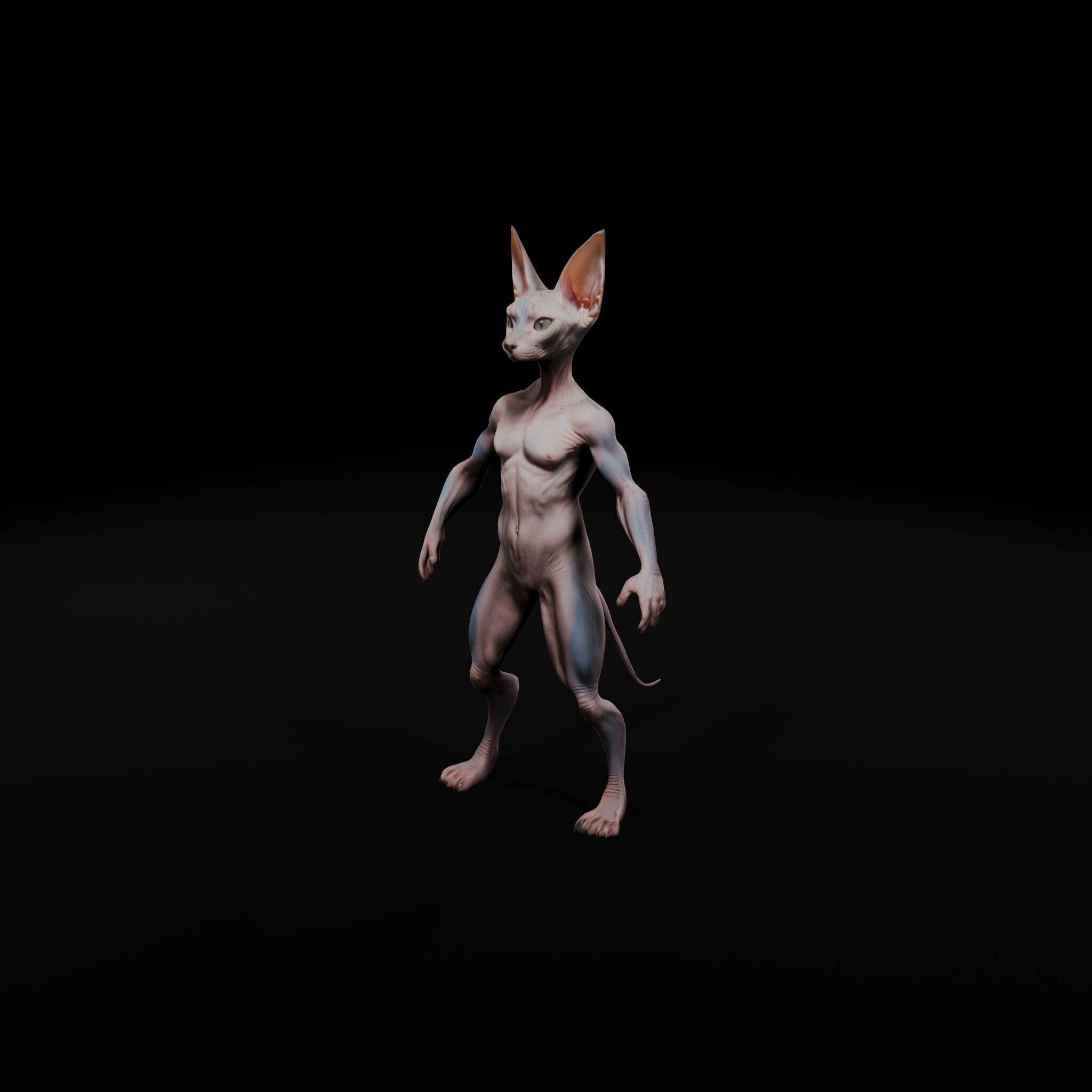 Anthropomorphic Rig-Ready Sphynx Cat - Low Poly Asset Low-poly 3D model_1