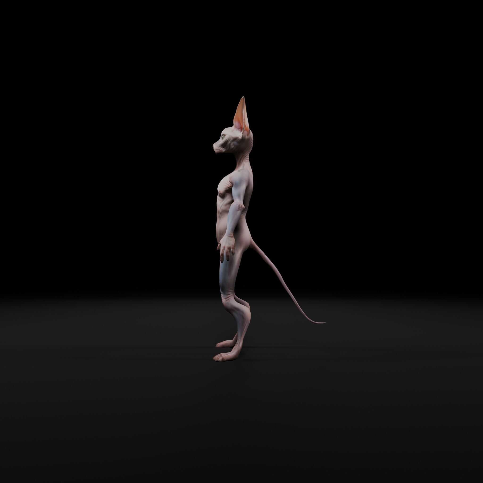 Anthropomorphic Rig-Ready Sphynx Cat - Low Poly Asset Low-poly 3D model_2