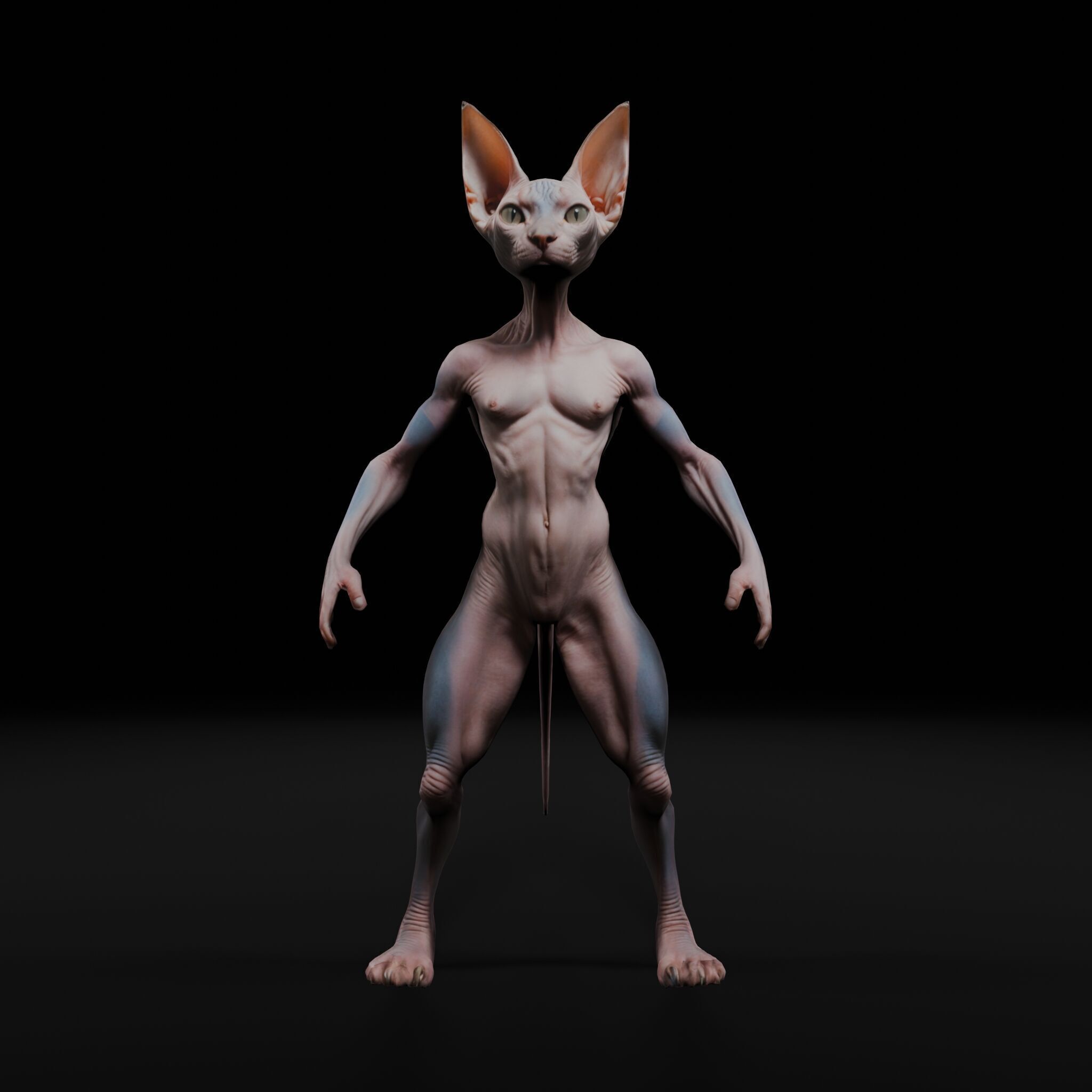 Anthropomorphic Rig-Ready Sphynx Cat - Low Poly Asset Low-poly 3D model_3