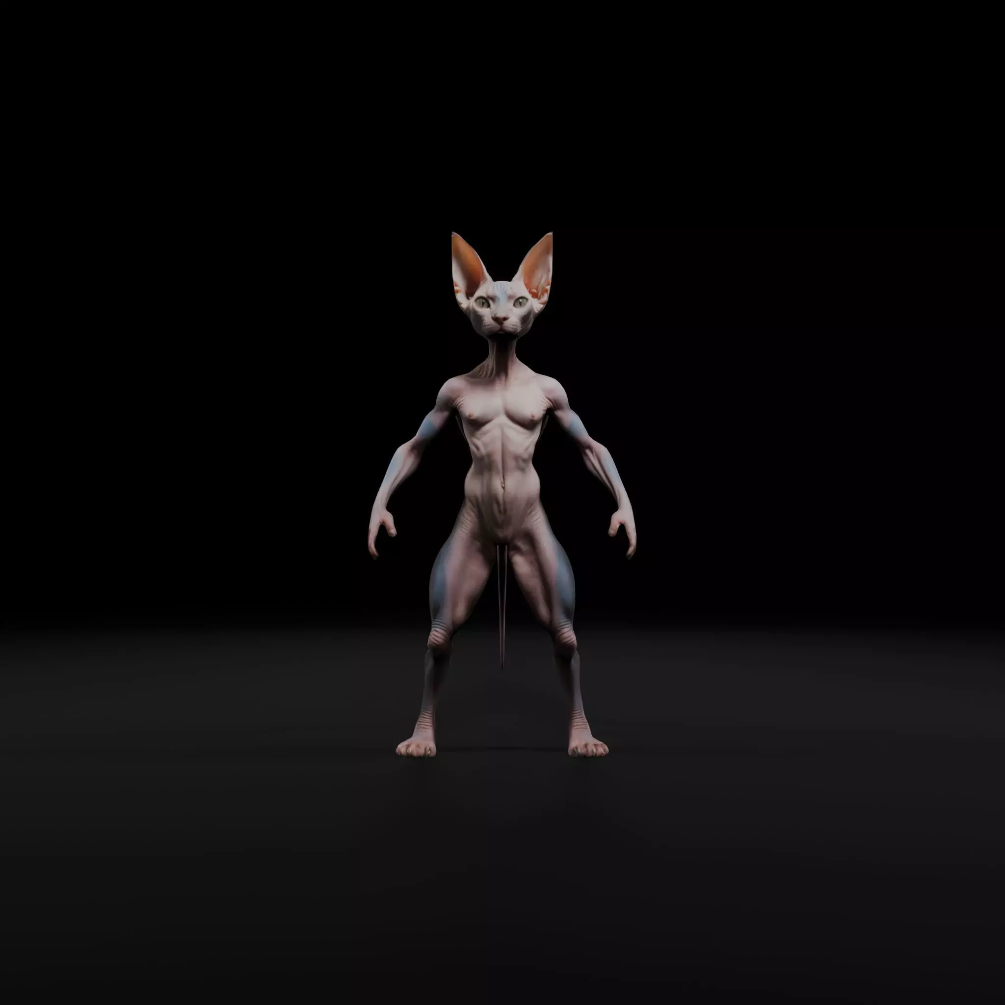 Anthropomorphic Rig-Ready Sphynx Cat - Low Poly Asset Low-poly 3D model_0