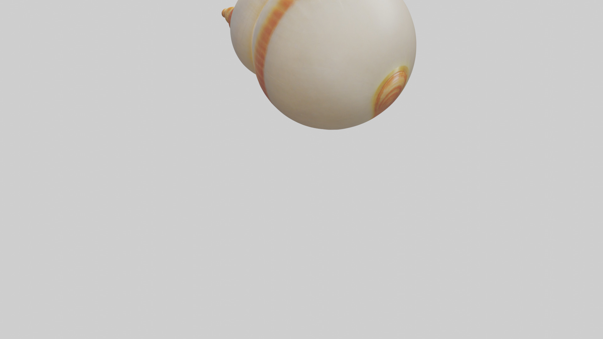 Cartoon Shell model 3D model_4