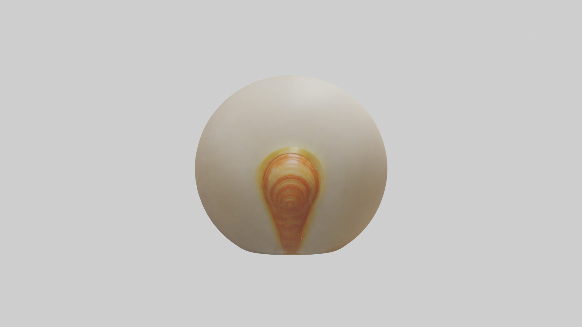 Cartoon Shell model 3D model_1