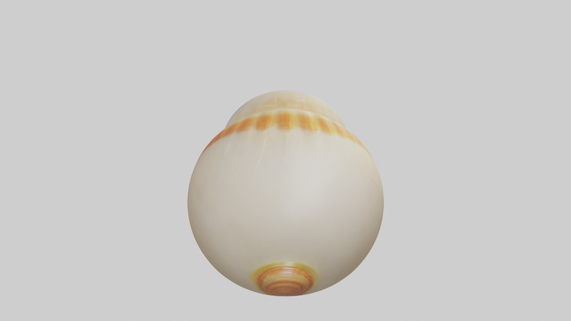 Cartoon Shell model 3D model_15