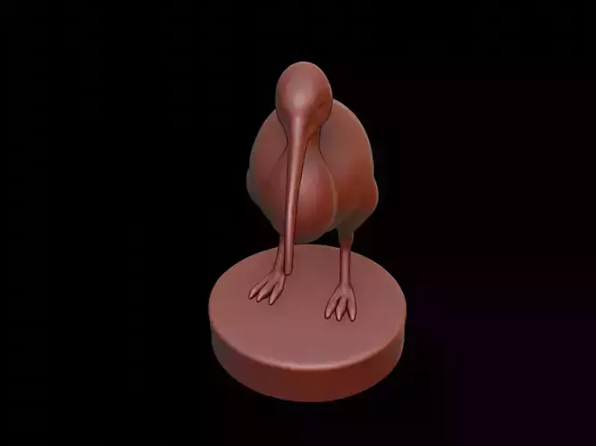 Kiwi Figure Printable