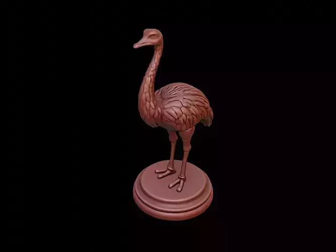 Ostrich Figure Printable