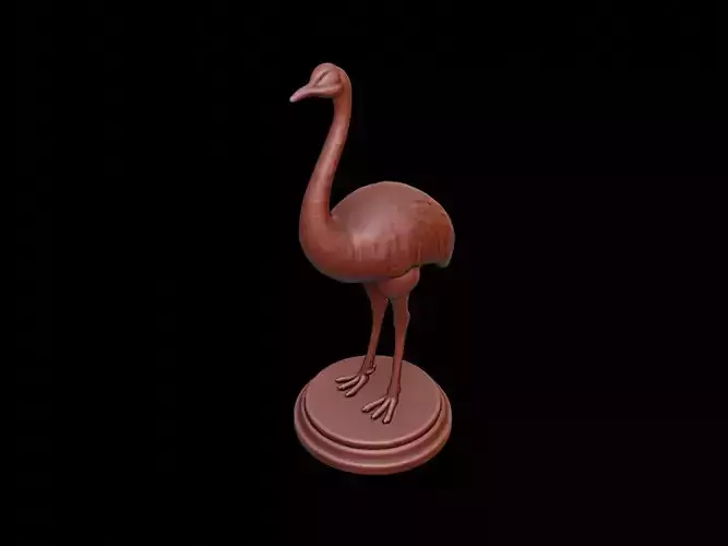 Ostrich Figure Printable