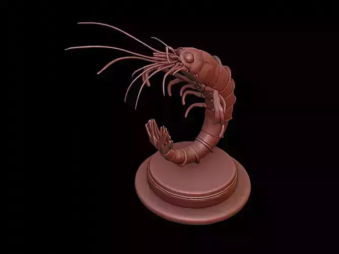 Shrimp Figure Printable