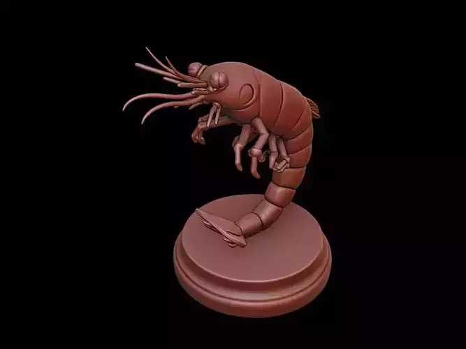 Shrimp Figure Printable