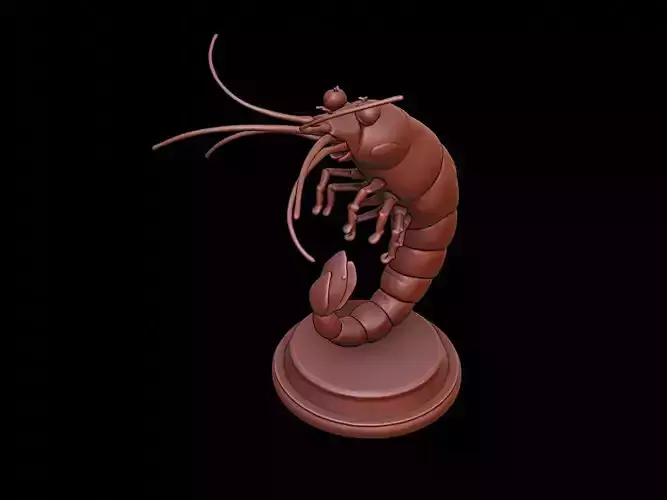 Shrimp Figure Printable