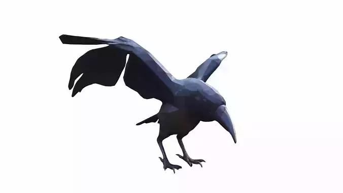 A crow