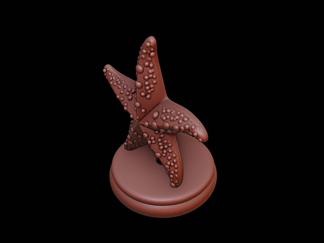 Starfish Figure Printable 3D print model_1