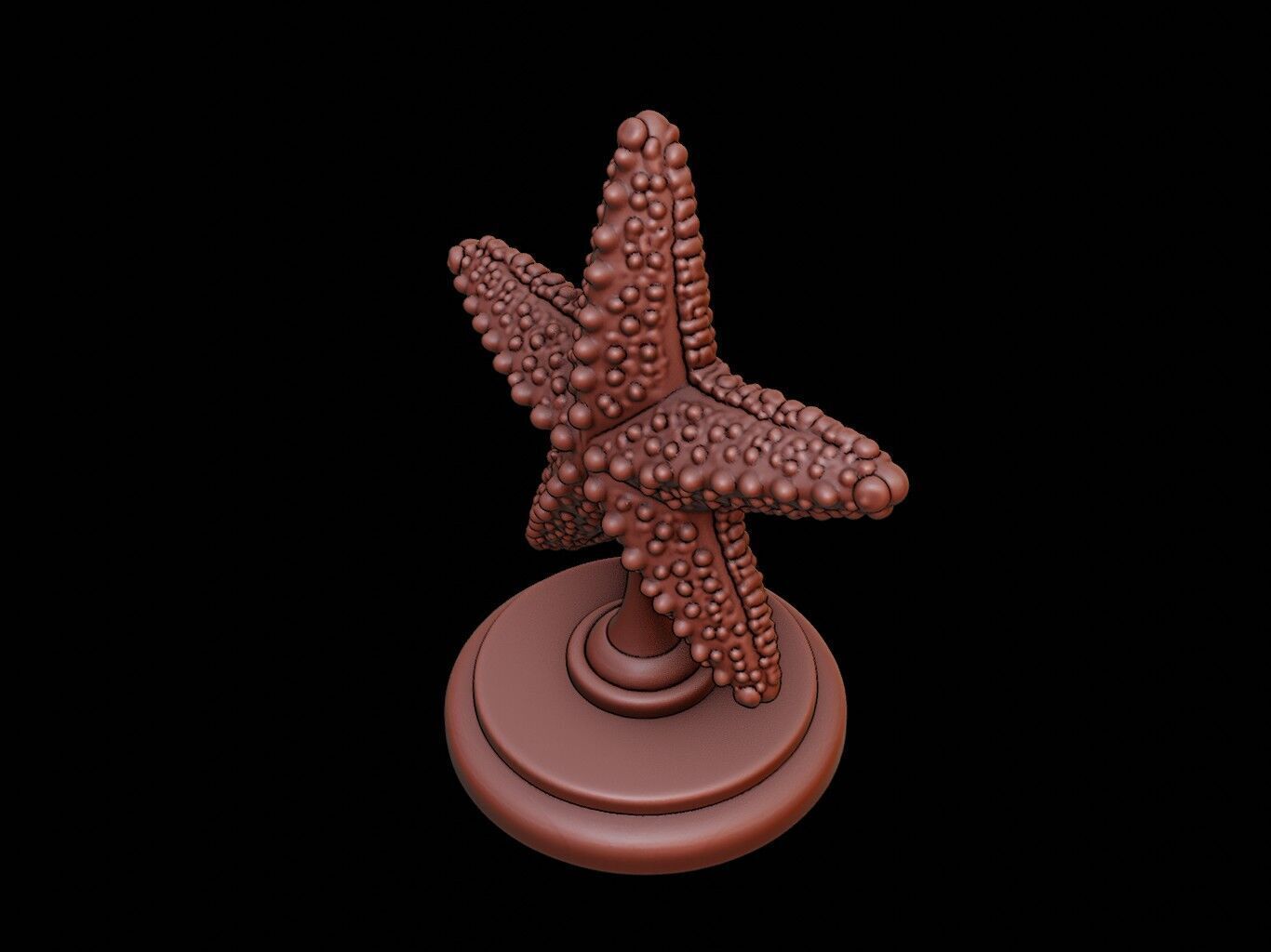 Starfish Figure Printable 3D print model_1