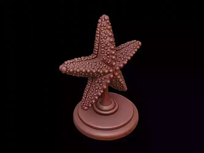 Starfish Figure Printable