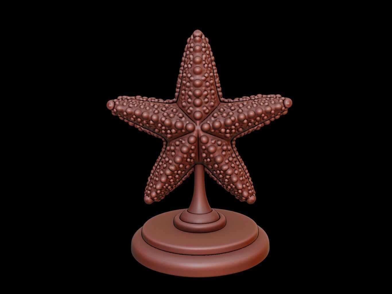 Starfish Figure Printable 3D print model_2
