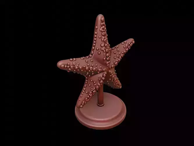 Starfish Figure Printable