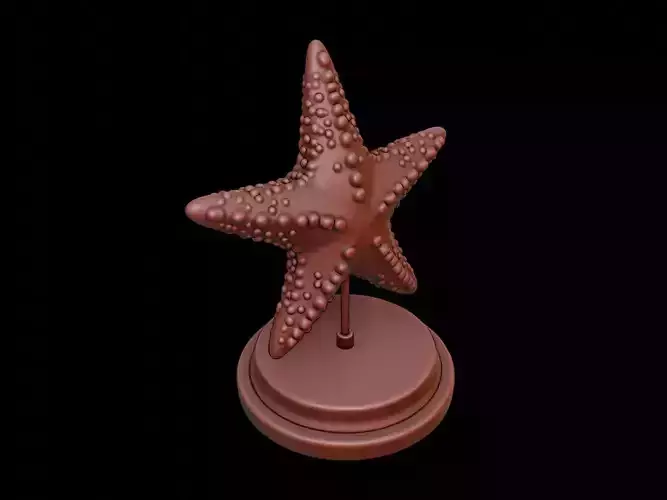 Starfish Figure Printable