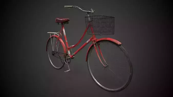 Stylish vintage bicycle