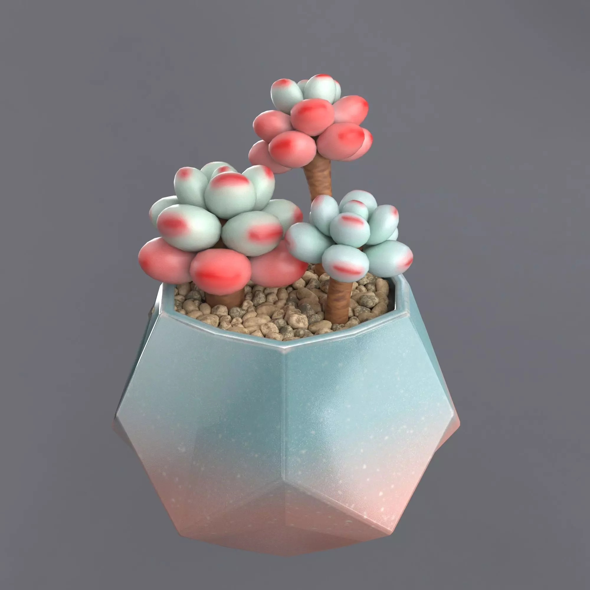 Flower in a pot succulent Free 3D model