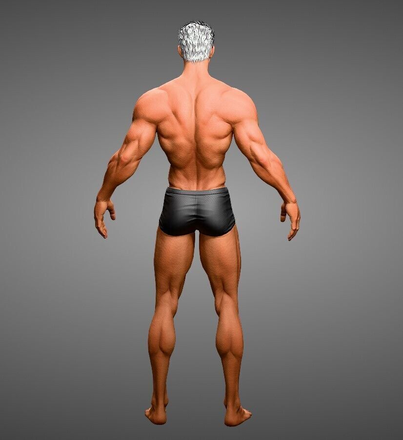 3D Male Body Base Mesh Modeling  Blender 3D model_6