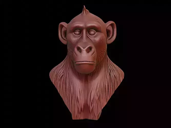 Baboon Animal Bust