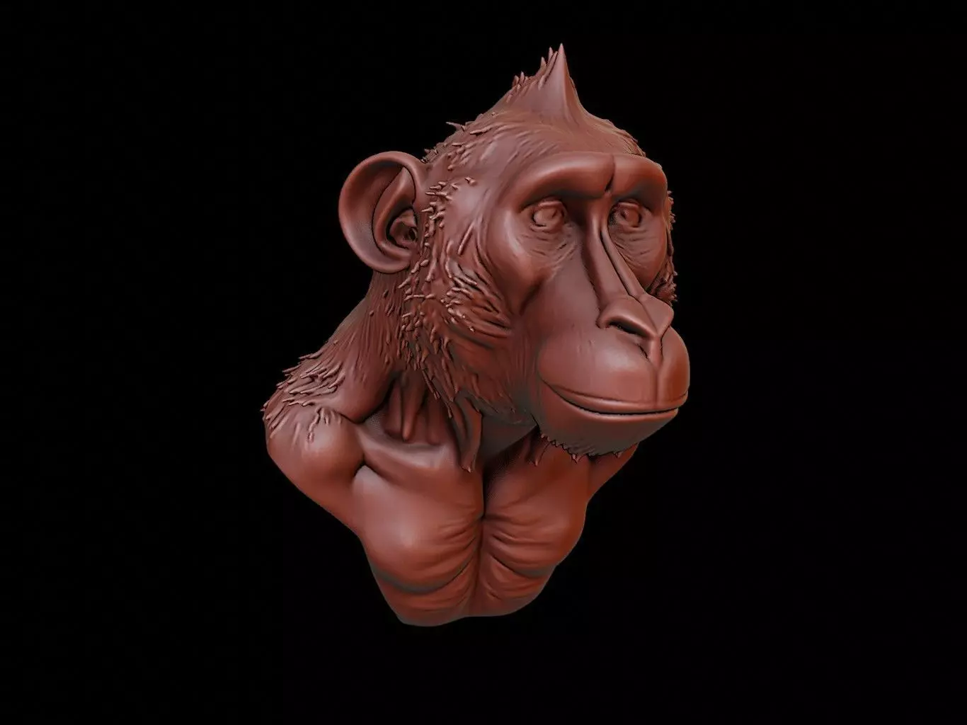 Baboon Animal Bust 3D print model