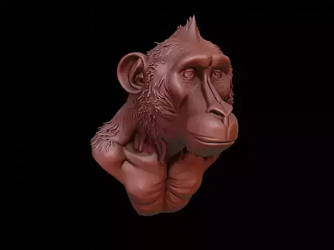 Baboon Animal Bust