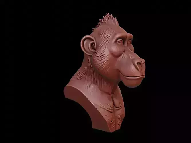 Baboon Animal Bust