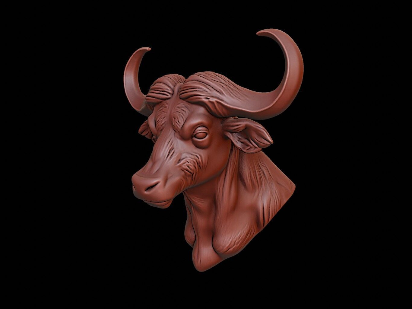 Buffalo Animal Bust 3D print model_1