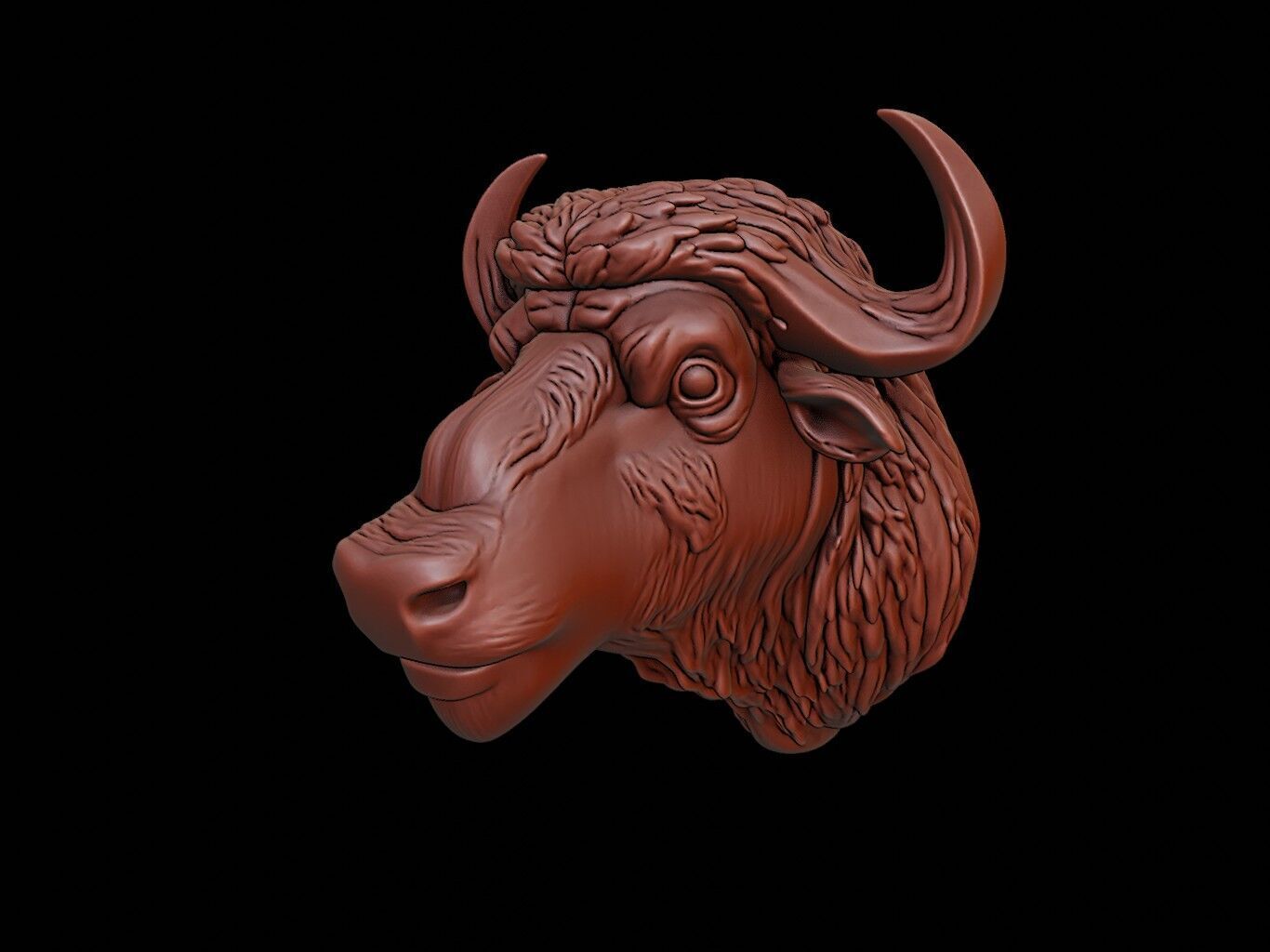 Buffalo Animal Bust 3D print model_1