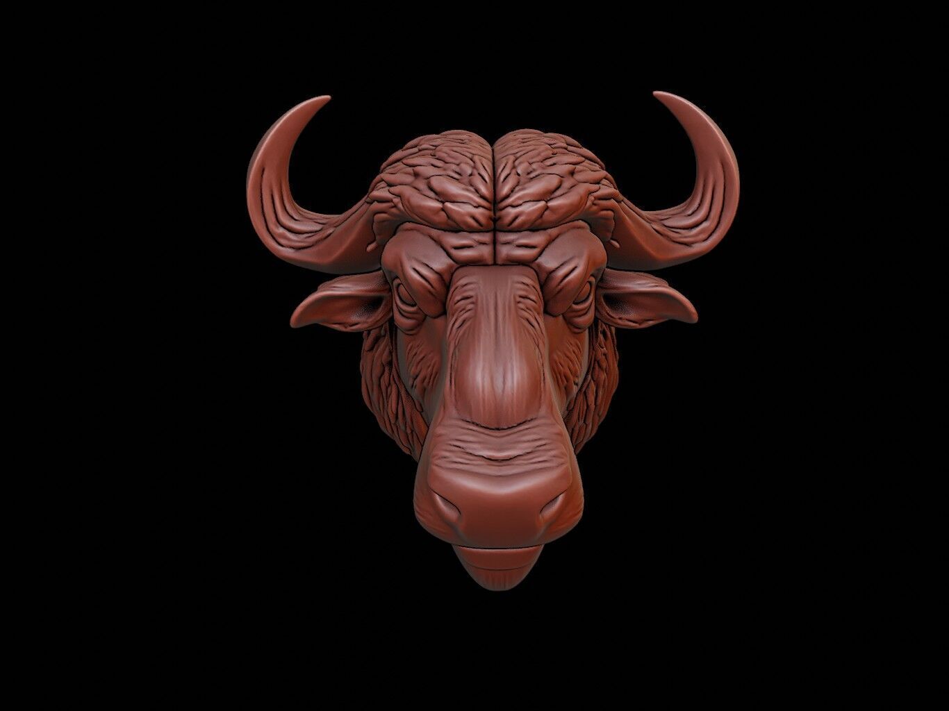 Buffalo Animal Bust 3D print model_2