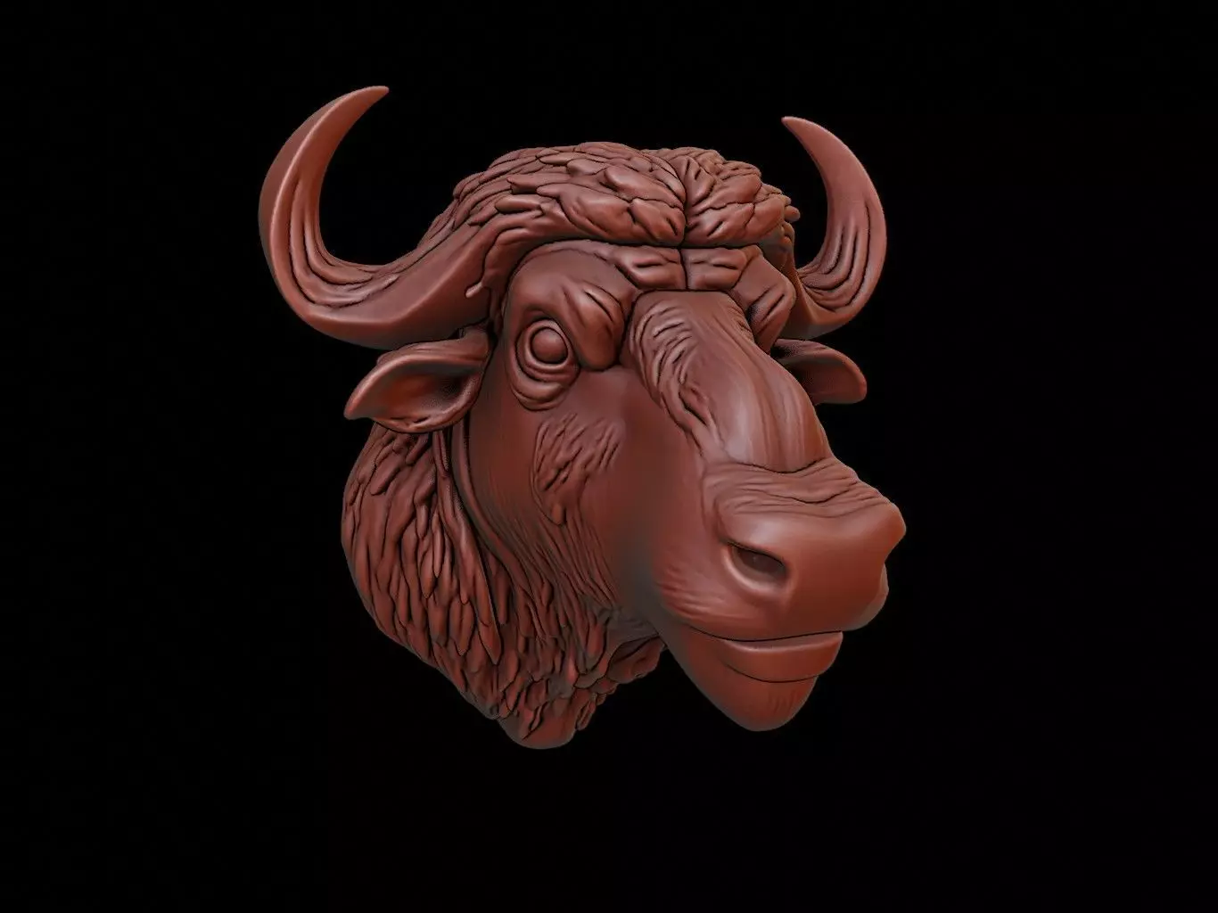 Buffalo Animal Bust 3D print model_0