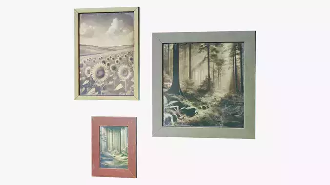 Picture Frames Vintage