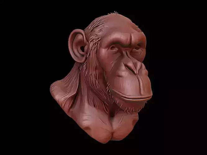 Chimpanzee Animal Bust
