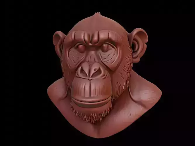 Chimpanzee Animal Bust
