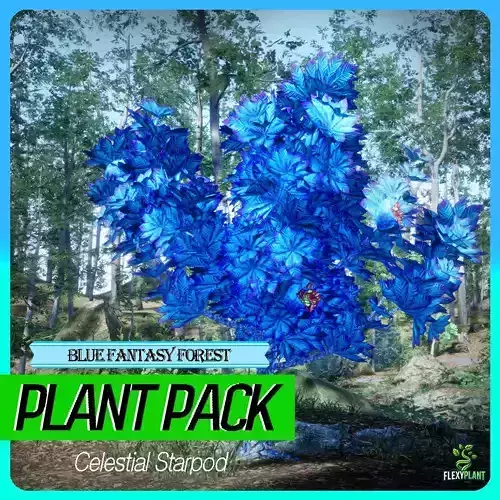 Blue Fantasy Forest - 6 Celestial Starpod Conifer Tree Plant