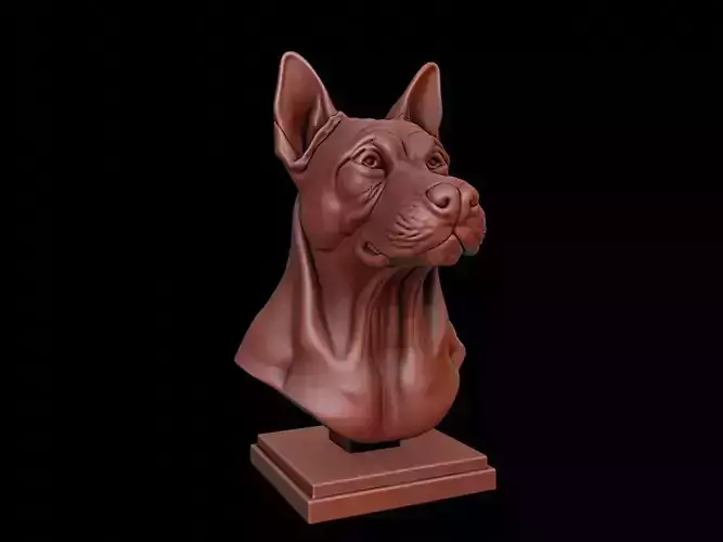 Dog Animal Bust